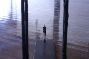 img 1143.jpgimg 1146