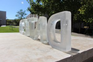 unadjustednonraw thumb 33f9